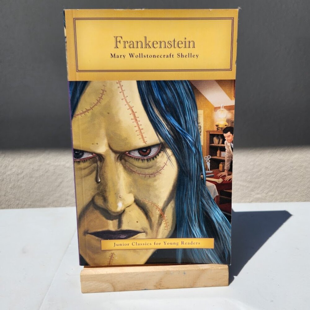 Frankenstein Paperback Book by Mary W. Shelley Junior Classics for Young…